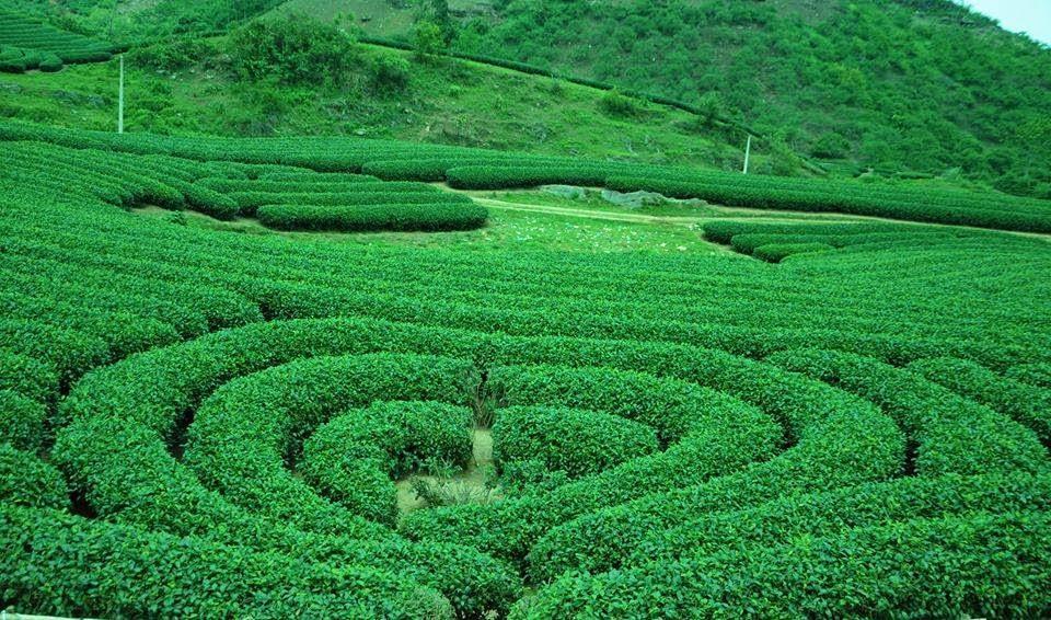 Green Hotel Moc Chau Dış mekan fotoğraf
